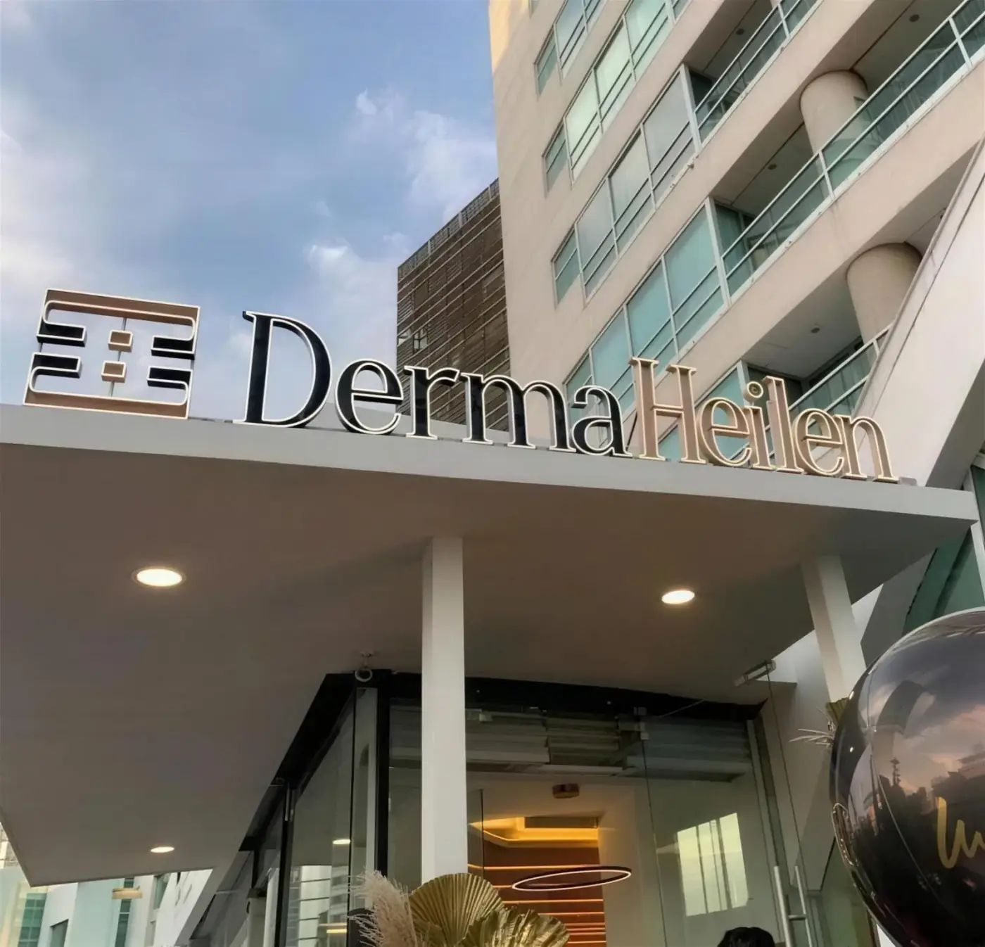 Proyecto Derma Heilen